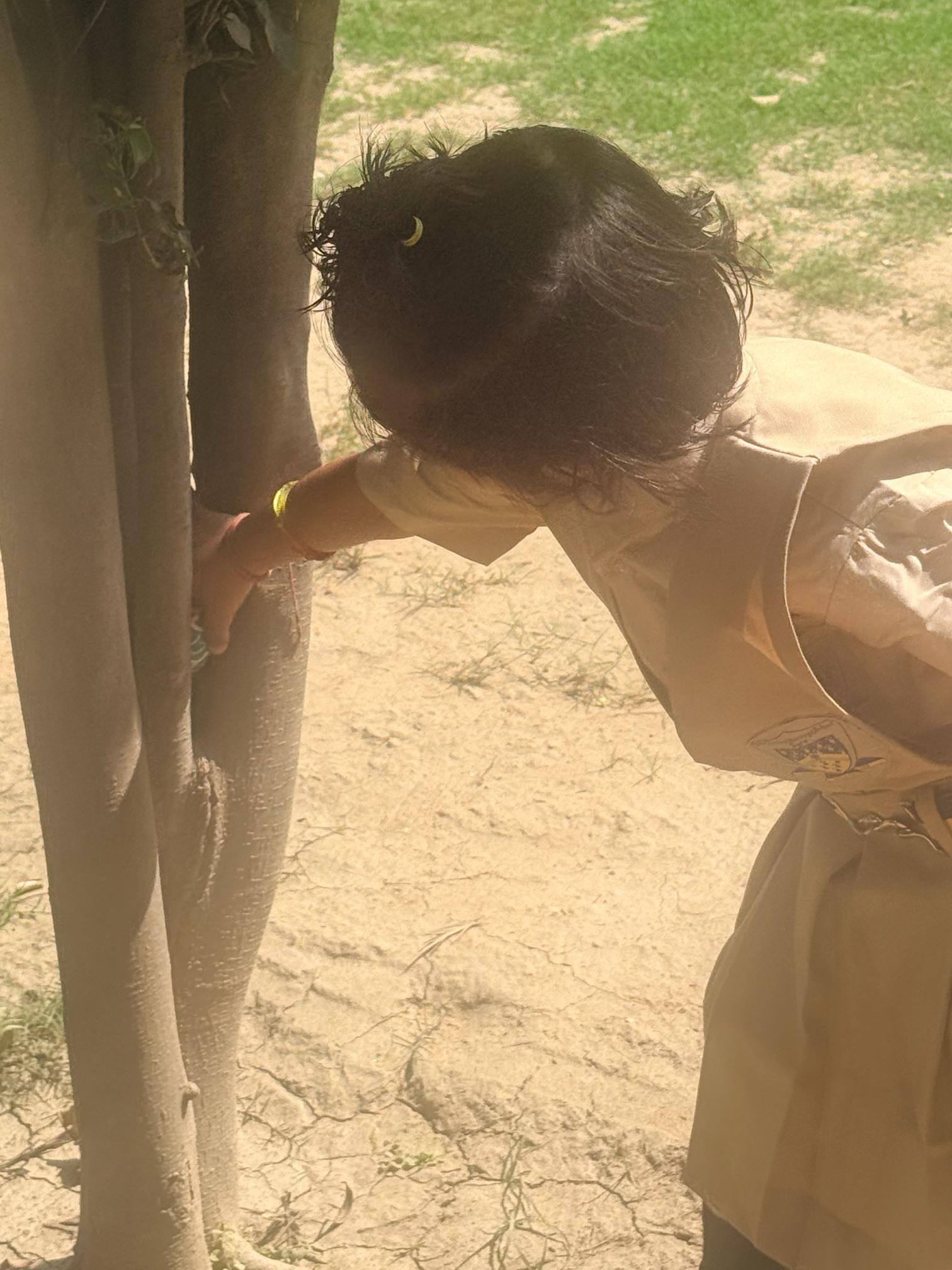 Easter Egg Hunt 2026